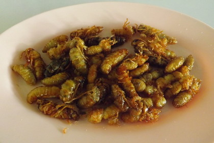 幼蜂兒（蜂の子の素揚げ）